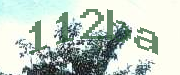 Sorry, this is a captcha