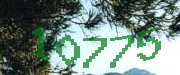 Sorry, this is a captcha