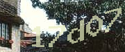 Sorry, this is a captcha