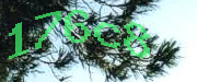 Sorry, this is a captcha