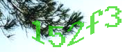 Sorry, this is a captcha