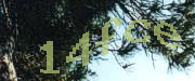 Sorry, this is a captcha