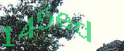Sorry, this is a captcha