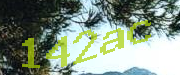 Sorry, this is a captcha