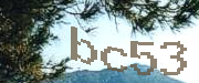 Sorry, this is a captcha