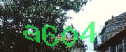Sorry, this is a captcha