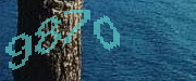 Sorry, this is a captcha
