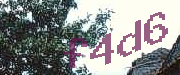 Sorry, this is a captcha