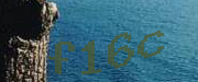 Sorry, this is a captcha