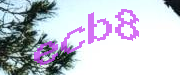 Sorry, this is a captcha