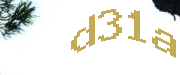 Sorry, this is a captcha