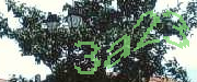 Sorry, this is a captcha