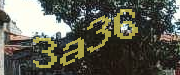Sorry, this is a captcha