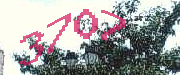 Sorry, this is a captcha
