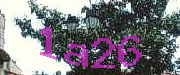 Sorry, this is a captcha