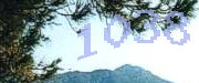 Sorry, this is a captcha