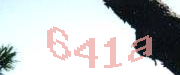Sorry, this is a captcha