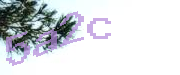 Sorry, this is a captcha