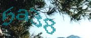 Sorry, this is a captcha
