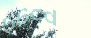 Sorry, this is a captcha