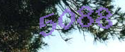 Sorry, this is a captcha