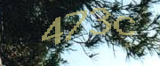 Sorry, this is a captcha