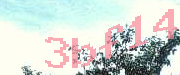 Sorry, this is a captcha