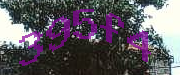 Sorry, this is a captcha