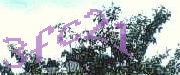 Sorry, this is a captcha