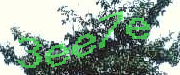 Sorry, this is a captcha