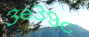 Sorry, this is a captcha