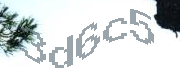 Sorry, this is a captcha