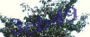 Sorry, this is a captcha