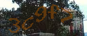 Sorry, this is a captcha
