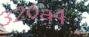 Sorry, this is a captcha