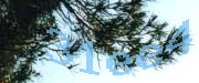 Sorry, this is a captcha