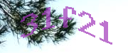 Sorry, this is a captcha