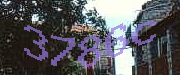 Sorry, this is a captcha
