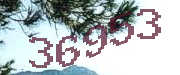 Sorry, this is a captcha