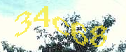 Sorry, this is a captcha