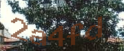Sorry, this is a captcha