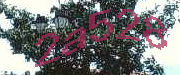 Sorry, this is a captcha