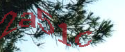 Sorry, this is a captcha