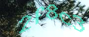 Sorry, this is a captcha