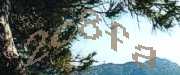 Sorry, this is a captcha