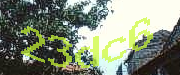 Sorry, this is a captcha