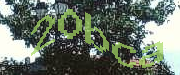 Sorry, this is a captcha