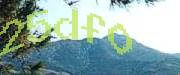 Sorry, this is a captcha