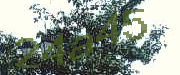 Sorry, this is a captcha